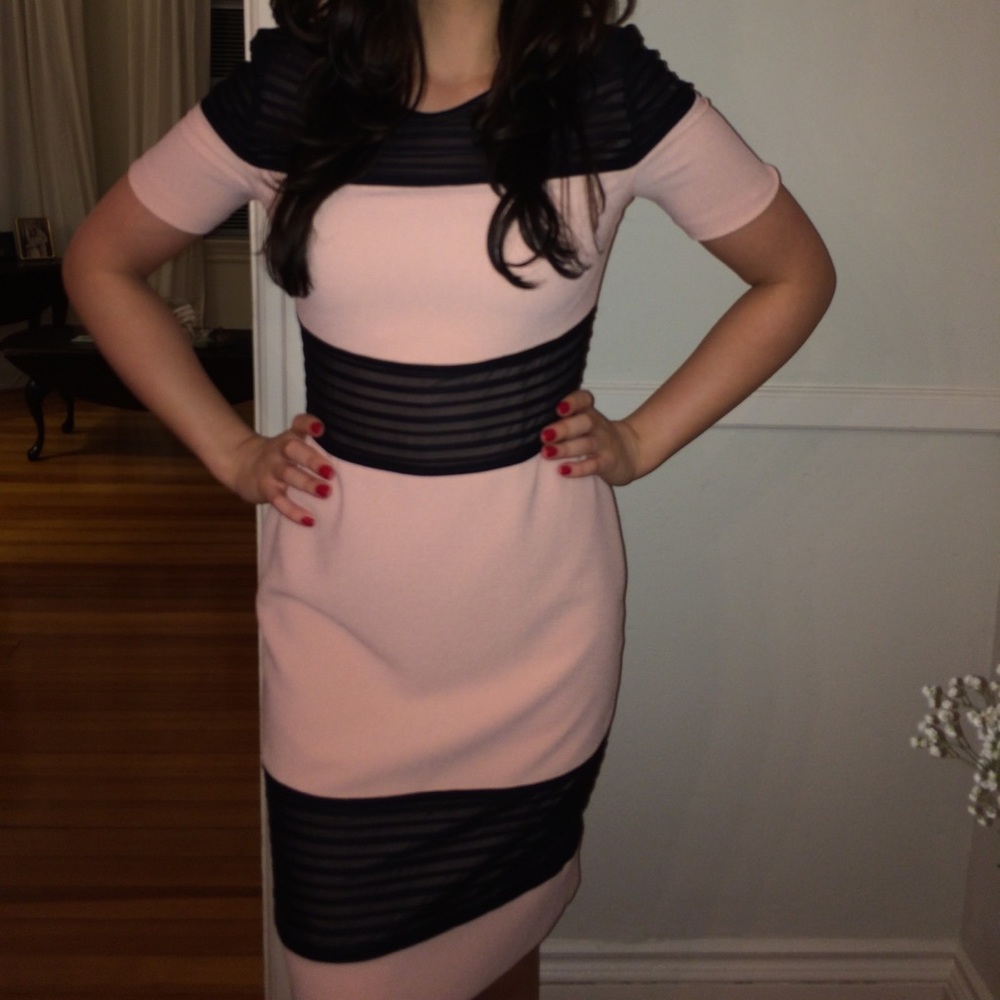 Blush Pink Cocktail Dress with Black Mesh Panels